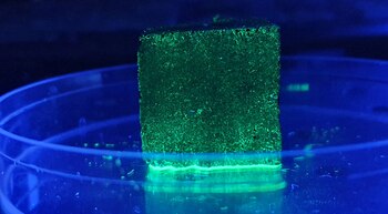 Los creadores de D-SAL aplican