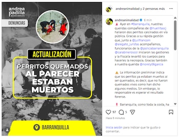 Este fue el mensaje de la senadora Andrea Padilla sobre el hallazgo de los perros incinerados en Barranquilla - crédito andreanimalidad/Instagram
