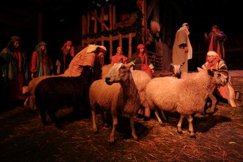 Quienes deseen aplicar deberán de