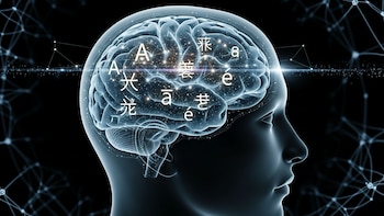 Cómo funciona la innovadora herramienta