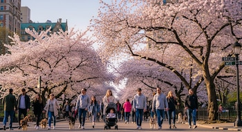 Los parques emblemáticos como Central