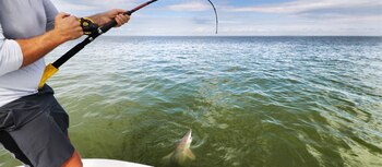 La enmienda busca gestionar y