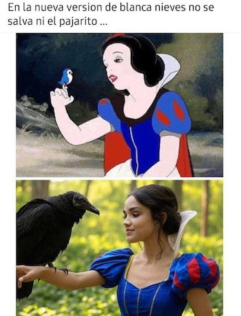 Los memes inundan las redes