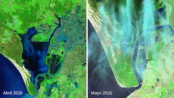 Comparación de imagen satelital del 15 de abril y del 26 de mayo del parque natural de Doñana (Estación Biológica de Doñana, Montaje Infobae)