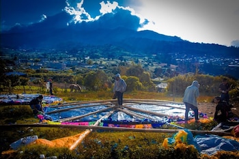 Los barriletes gigantes se elevan en Sumpango y Santiago Sacatepéquez cada 1 de noviembre para conmemorar el Día de Todos los Santos.