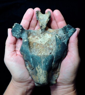 Fotografía cedida por la universidad