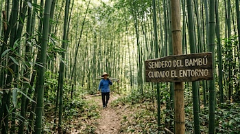 Un letrero de madera grabado en primer plano junto a una persona con sombrero que camina por un camino rodeado de cañas de bambú.