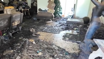 Interior de una vivienda con el suelo cubierto de suciedad y residuos, un sofá dañado, mesa, estatua y árbol de Navidad