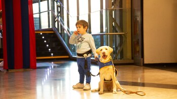 Perros de asistencia: los compañeros