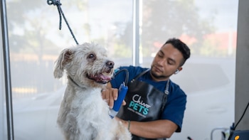 El hospital veterinario “Chivo Pets”