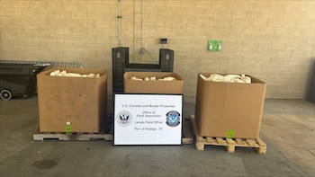 Interceptan en EEUU casi una tonelada de metanfetamina oculta en cargamento de apio proveniente de Reynosa, Tamaulipas