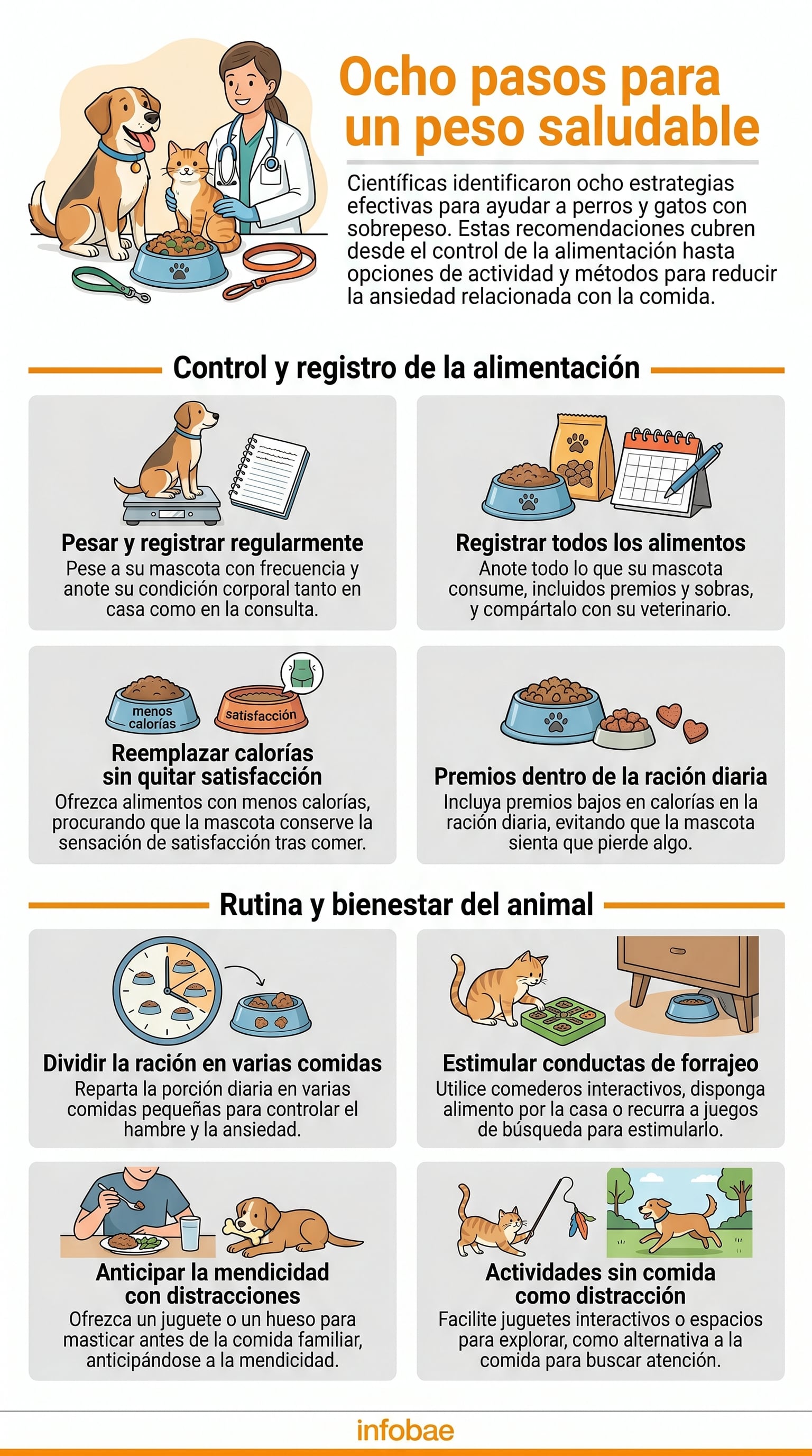 Las científicas identificaron estrategias efectivas para tratar el sobrepeso en perros y gatos. (Imagen Ilustrativa Infobae)