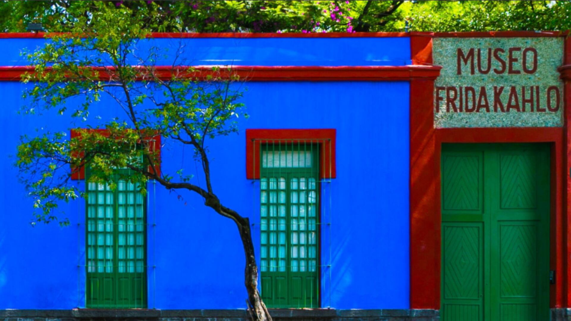 Residencia emblemática que resguarda el legado artístico y político de Frida Kahlo, abierta al público desde mediados del siglo XX (Museo de Frida Kahlo)