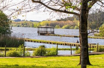 Imagen de una parte del