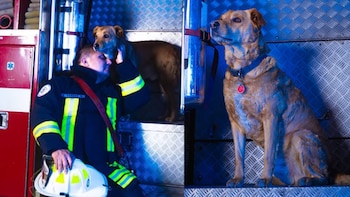 Con honores de bombero: así despidieron a Spartan, el perro que vivió 12 años en el cuartel de Breña