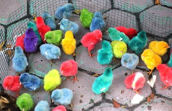 Las malas condiciones en que