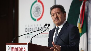 Ignacio Mier, coordinador de Morena