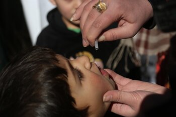 Imagen MW7X2IEIVJHUTC7GVAOGC5CHUI