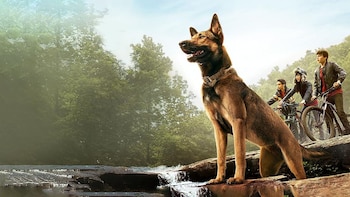 Top 10 de las mejores