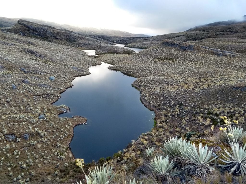 El parque no tiene implementados los Planes de Ordenamiento del Ecoturismo exigidos por la resolución 531 de 2013 para abrirlo al turismo - crédito Parques Nacionales Naturales de Colombia