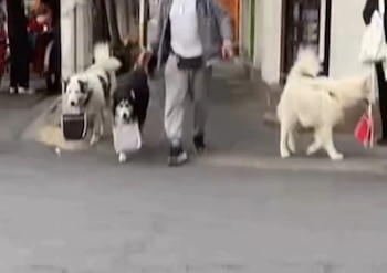 Usuarios publicaron fotos en los