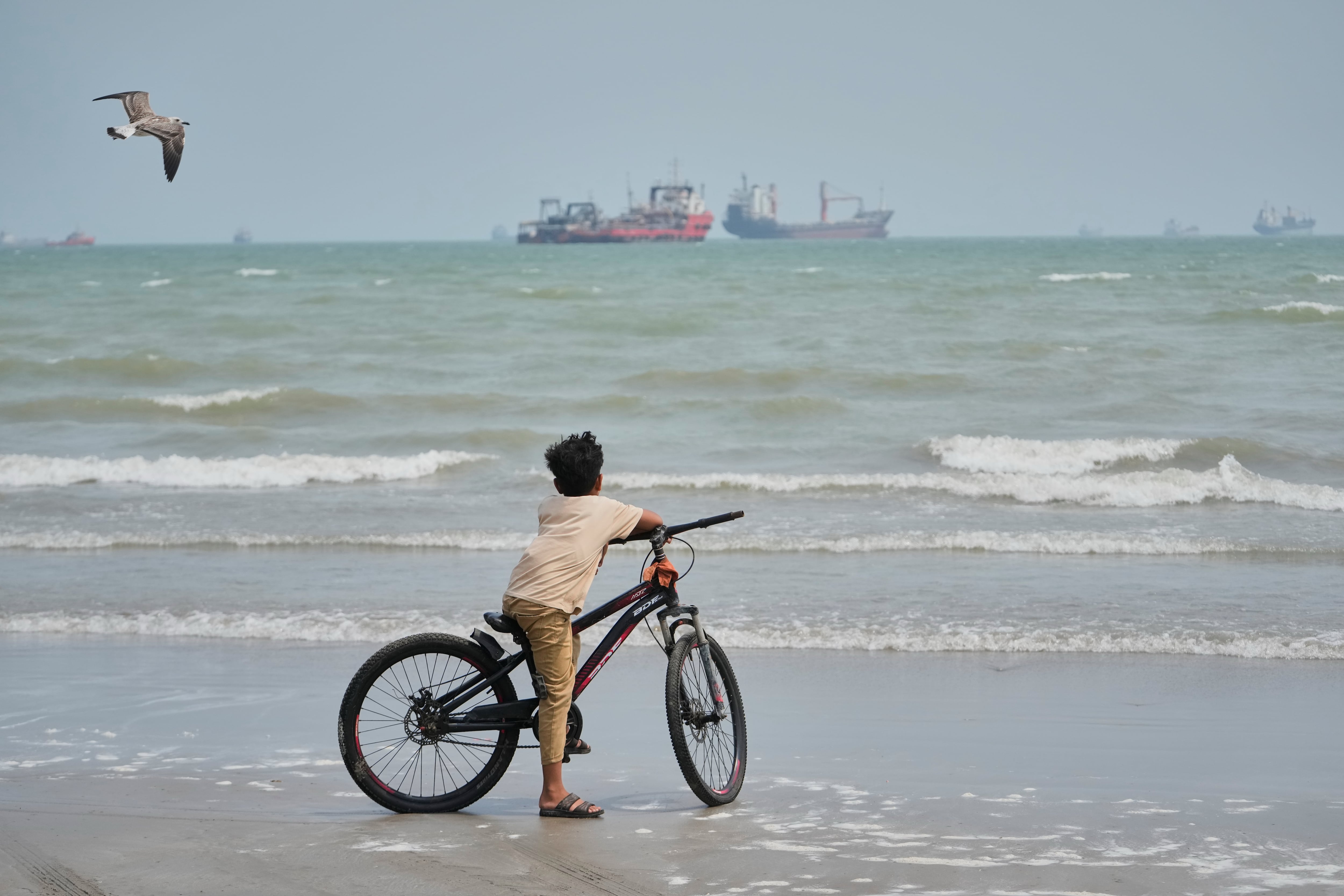 Una gaviota vuela por encima mientras un niño permanece de pie con su bicicleta en una playa, frente a buques comerciales anclados en el estrecho de Ormuz, cerca de Bandar Abbas, Irán, el lunes 7 de septiembre de 2026 (AP/Vahid Salemi)