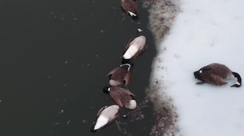 El aumento de casos obliga