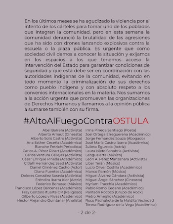 Activistas que se sumaron a la petición de la Red Nacional de Organismos Civiles de Derechos Humanos. (X/@citlatopia)