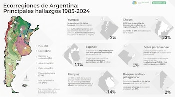 Infografía que muestra un mapa de Argentina dividido por ecorregiones, gráficos de porcentajes y textos con datos sobre cambios de suelo y bosques.