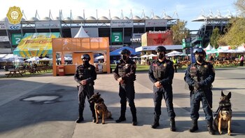 Los detenidos ofrecían o propiciaban