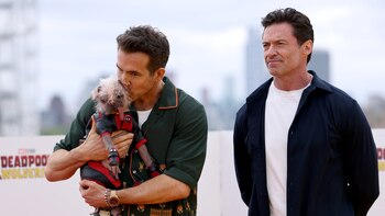 Peggy, la perra que pasó