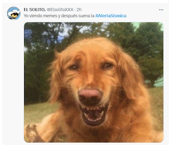 memes sismo 3 de marzo