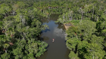 Los pueblos indígenas frenan el