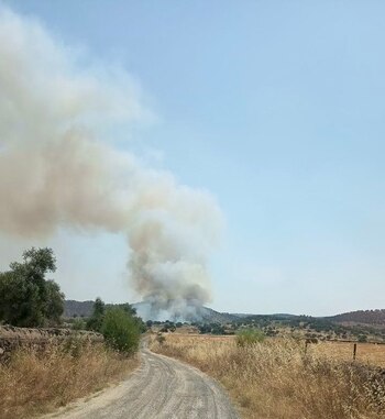 Incendio forestal en Jerez de los Caballeros (Badajoz) originado el 6 de julio de 2026 (Plan Infoex)
