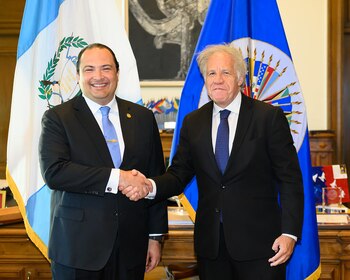 El canciller Mario Búcaro volvió