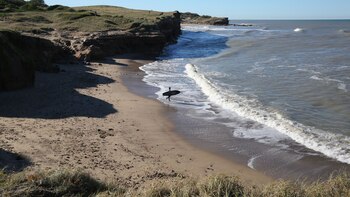 Tanto principiantes como expertos encuentran