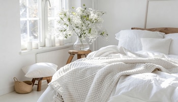 PLANTAS PERFECTAS DECO