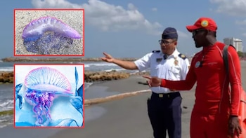 Alcaldía de Cartagena emitió recomendaciones