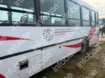Vista lateral de autobús blanco con franjas rojas, ventanillas, dos ruedas, y texto "Servicio de Transporte Público Municipalidad de General Pueyrredon Línea Roja"