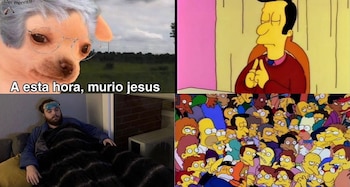 Imagen MX25ZBCFM5BYJB7L3Z2EDE67AU