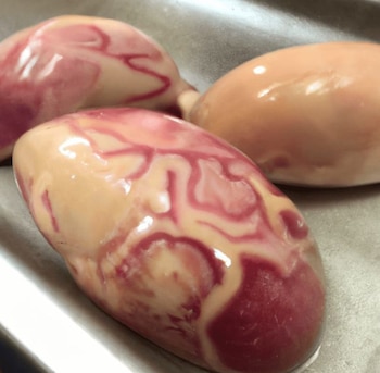 Criadillas foto: Pinterest