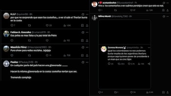 Comentarios sobre pelea de "therians"