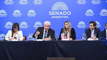 Senado: aliados de la UCR, el PRO y el PJ disidente frenaron el dictamen del Súper RIGI