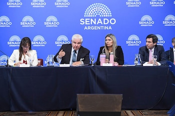 Cuatro personas sentadas tras una mesa larga frente a un panel azul con el logotipo del Senado de la Nación Argentina