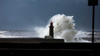 El Gobierno portugués aprueba 2.500