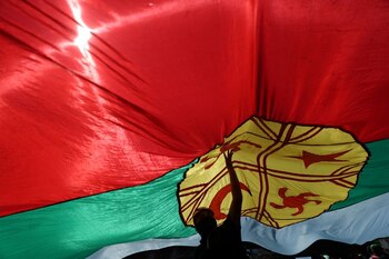 Manifestantes con la bandera mapuche