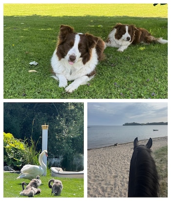 Federico y Mary de Dinamarca ya disfrutan de sus vacaciones. (Instagram @detdanskekongehus)