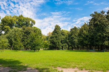 El impacto de la vegetación