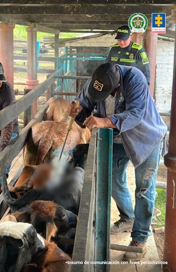 Uno de los elementos que