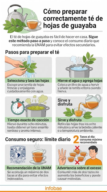 Infografía sobre la preparación del té de hojas de guayaba con ilustraciones de los pasos de cocción y el logotipo de la UNAM.